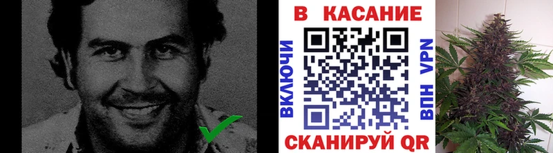 Где купить наркотики Приморск Cocaine  ГАШ  Конопля 