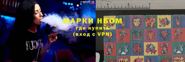 хмурый Алзамай