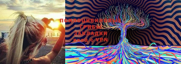 каннабис Алексеевка
