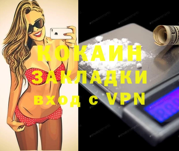 хмурый Алзамай