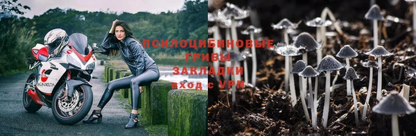 кокс Алексин