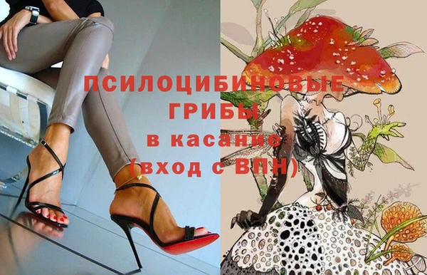 хмурый Алзамай