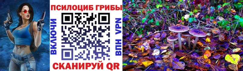 что такое   Приморск  Галлюциногенные грибы прущие грибы 